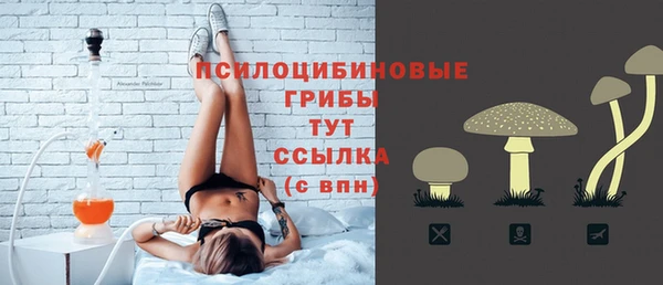 гидропоника Снежинск